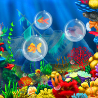 Free online html5 games - Lost Fish Escape 6 game - WowEscape