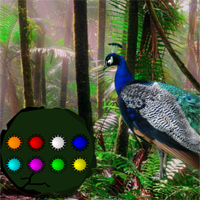 Free online html5 games - Peacock Dance Forest Escape game 