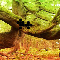 Free online html5 games - Peril Satan Forest Escape game - WowEscape