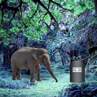 Free online html5 games - Rainy Forest Escape game 