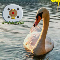 Free online html5 games - Swan Valley Escape game - WowEscape