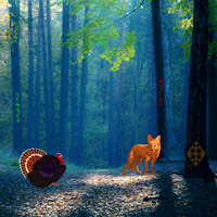 Free online html5 games - Turkey Asylum Escape-2 game 