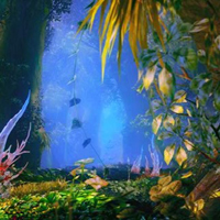 Free online html5 games - Wonder Thanksgiving Forest Escape game 
