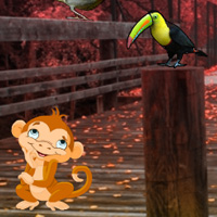 Free online html5 games - Wow Bird Forest Escape game - WowEscape