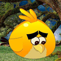 Free online html5 games - Agony Bird Escape HTML5 game - WowEscape