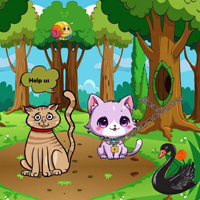 Free online html5 escape games - Assist Couple Of Wild Cats