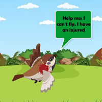 Free online html5 games - Assist The Troubled Bird game 