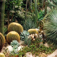 Free online html5 games - Cactus Garden Escape HTML5 game 
