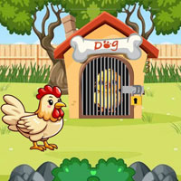 Chick Trapped In Dog Cabin