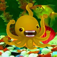 Free online html5 games - Crowntail Betta Fish Escape HTML5 game 