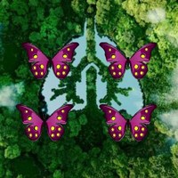 Free online html5 games - Density Amazon Forest Escape HTML5 game 