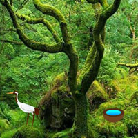 Enchanted Mossy Green Forest Escape HTML5
