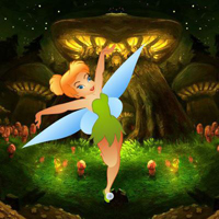 Fairy Reach The Native Forest