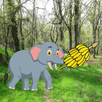 Feed The Little Elephant