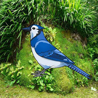 Free online html5 games - Help The Blue Jay Bird HTML5 game 