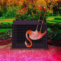 Free online html5 games - Help The Troubled Flamingo Bird HTML5 game 