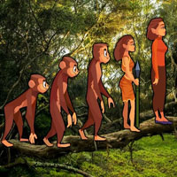 Free online html5 games - Human Evolution Escape HTML5 game - WowEscape