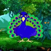 Innocent Peacock Feather Escape