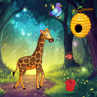 Little Giraffe Lost Enchanted Woods