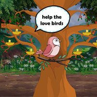 Misunderstood Bird Join Together