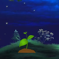 Free online html5 games - Night Forest Owl Escape HTML5 game 