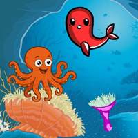 Octopus Joins Birthday Celebration