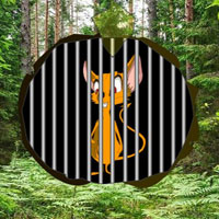Poison Forest Fox Escape HTML5