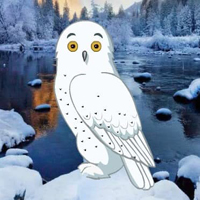 Free online html5 games - Snow Owl Escape HTML5 game 