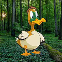 Free online html5 games - Trapped Innocent Duck Escape game 