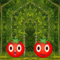 Free online html5 games - Twins Tomato Escape HTML5 game 