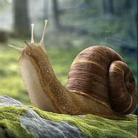 Free online html5 games - Wonder Snail Forest Escape HTML5 game 