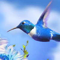 Free online html5 games - Wonderful Humming Bird Land Escape HTML5 game - WowEscape