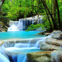 Free online html5 games - Tropical Woods Escape game 