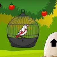 Free online html5 games - G2L White Bird Escape game 