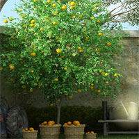 Free online html5 games - 365 Garden Gate Escape game 