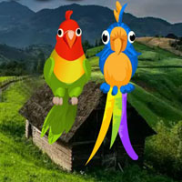 Free online html5 games - Pair Macaw Escape HTML5 game 