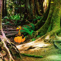 Free online html5 games - Escape from Emerald Thanksgiving Forest game - WowEscape 