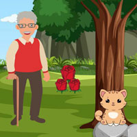 Free online html5 escape games - G2R Grandpa Lost The Wallet