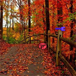 Free online html5 games - New Summer Forest Escape game 