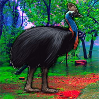 Free online html5 games - G2R Escape Game Save The Cassowary game - WowEscape 