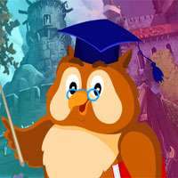 Free online html5 games - G4k Master Owl Escape game 