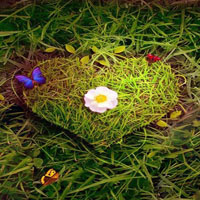Free online html5 games - Love Lawn Escape HTML5 game 