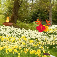 Free online html5 games - Thanksgiving Lush Forest Escape game 