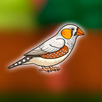 Free online html5 games - Cute Zebra Finch Escape from Cage game 