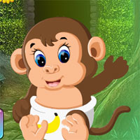 Free online html5 games - G4K Rescue The Baby Monkey  game 