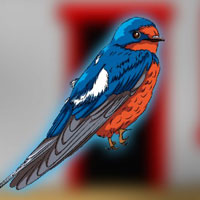 Free online html5 games - G2J Hirundinidae Bird Escape game 