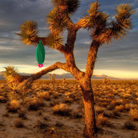 Free online html5 games - G2R Daydreaming Desert Forest Escape game 