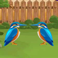Free online html5 games - G2L Kingfisher Rescue Escape game 