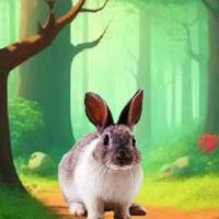 Free online html5 games - G2M Rescue the Locked Kitten game 