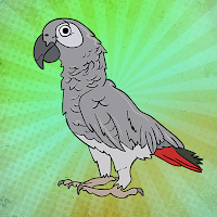 Free online html5 games - G2J African Grey Parrot Escape game 